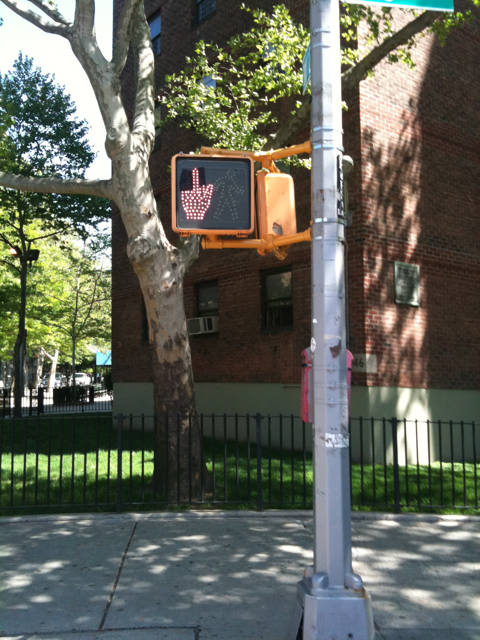 Middle Finger Crosswalk Flasher