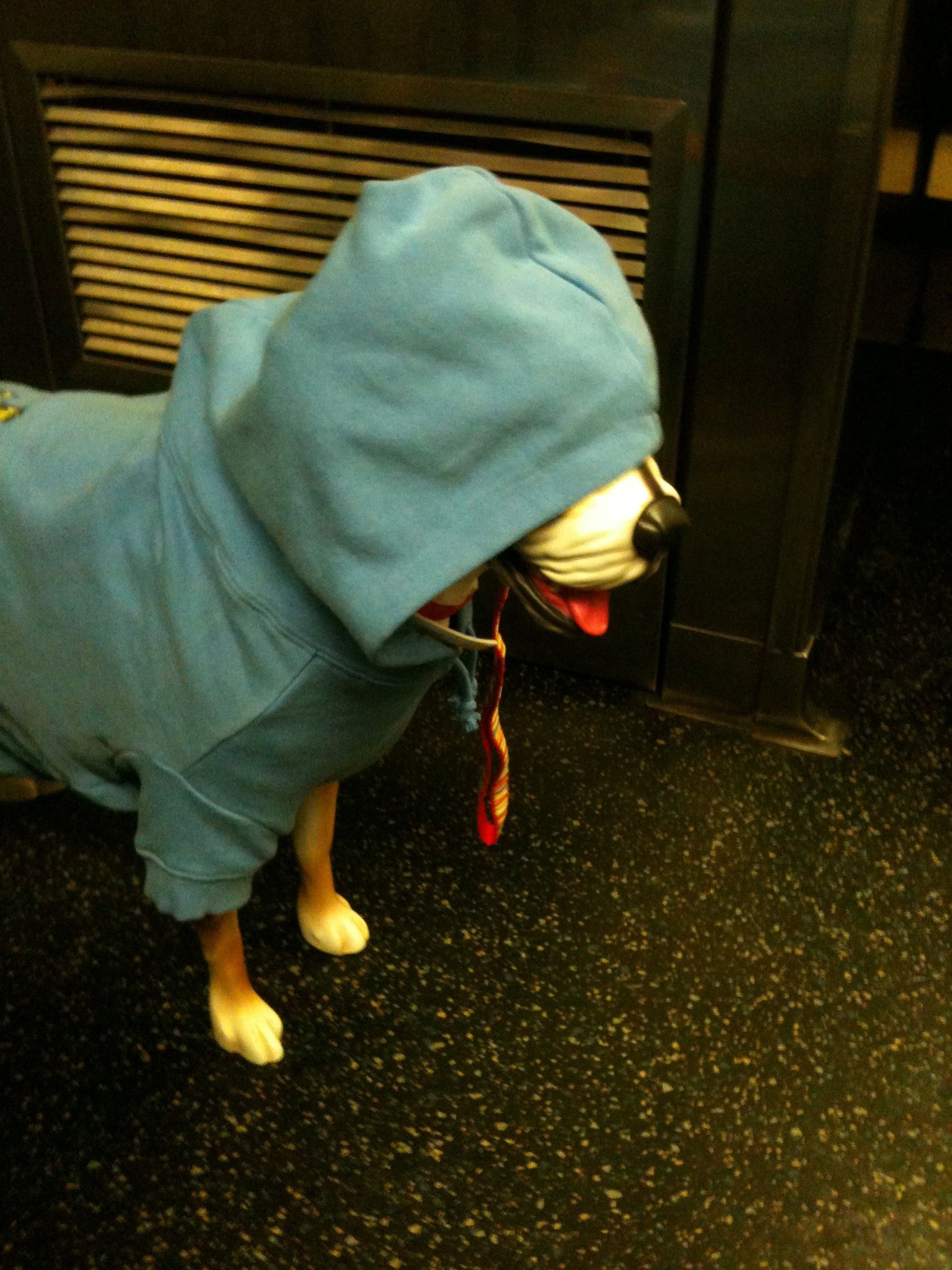 The dog I saw on the subway